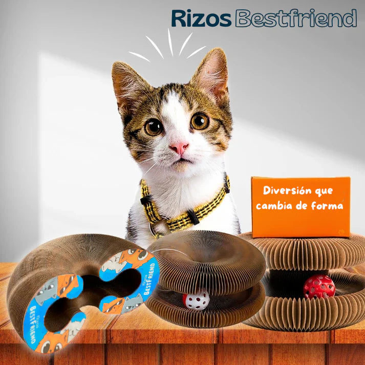 Kitty Loop™  Rascador Interactivo