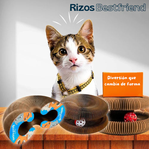 Kitty Loop™  Rascador Interactivo