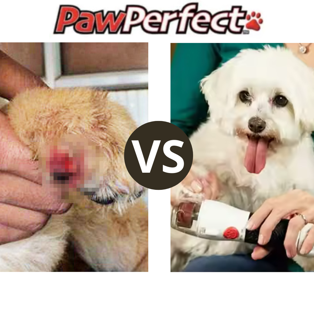 Limador de uñas para mascotas PawPerfect 🐾