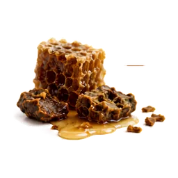 Propóleo